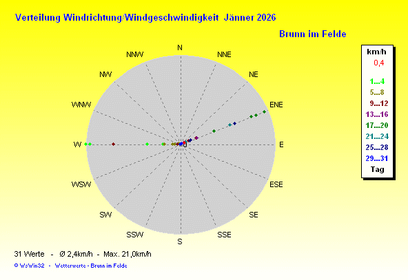 Windrose
