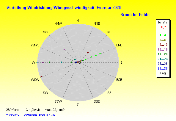 Windrose