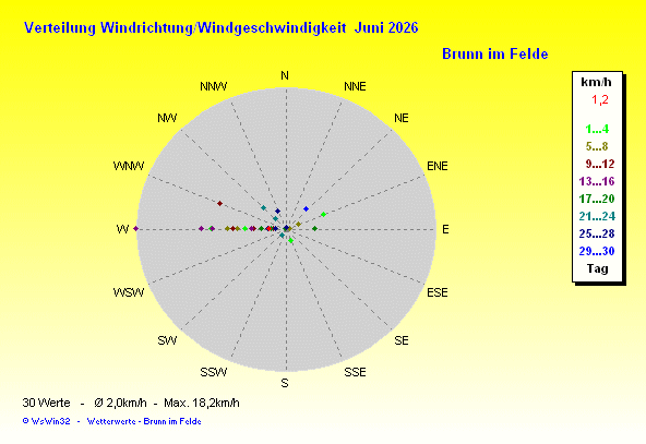 Windrose